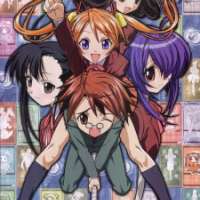   Negima!? <small>Director</small> 